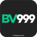Bv999 game